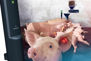 精準營養餵飼系統