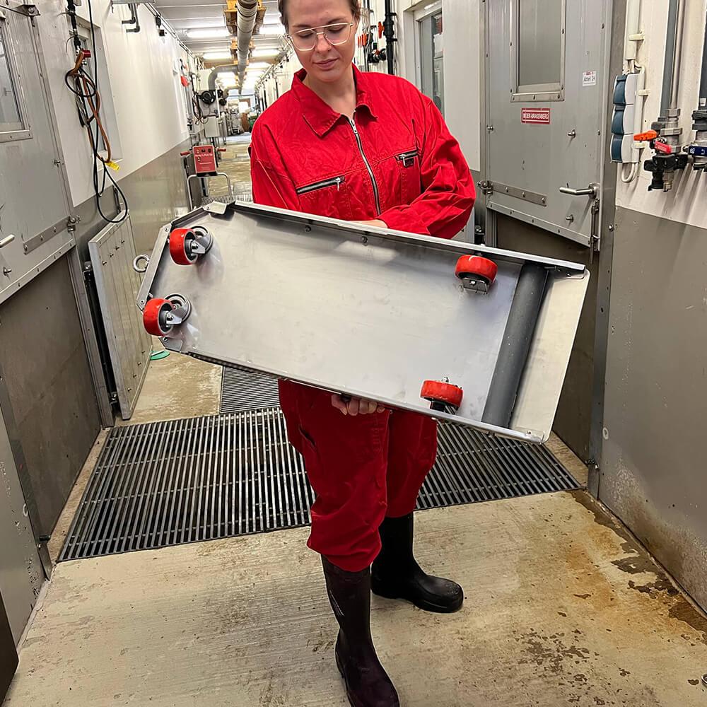 Meier-Brakenberg 斃死豬搬運拖車