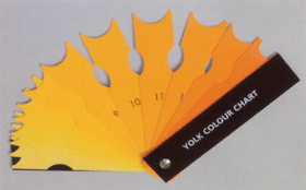 蛋黃比色扇 (Yolk Colour Chart)