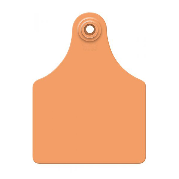 8# 母頭耳標(牛用) (100個) 57×78mm