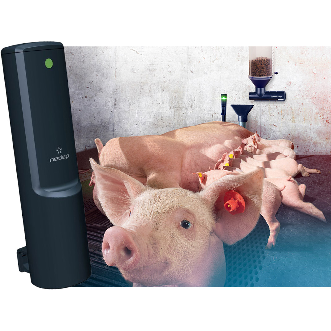 Freeda 產床智能餵飼