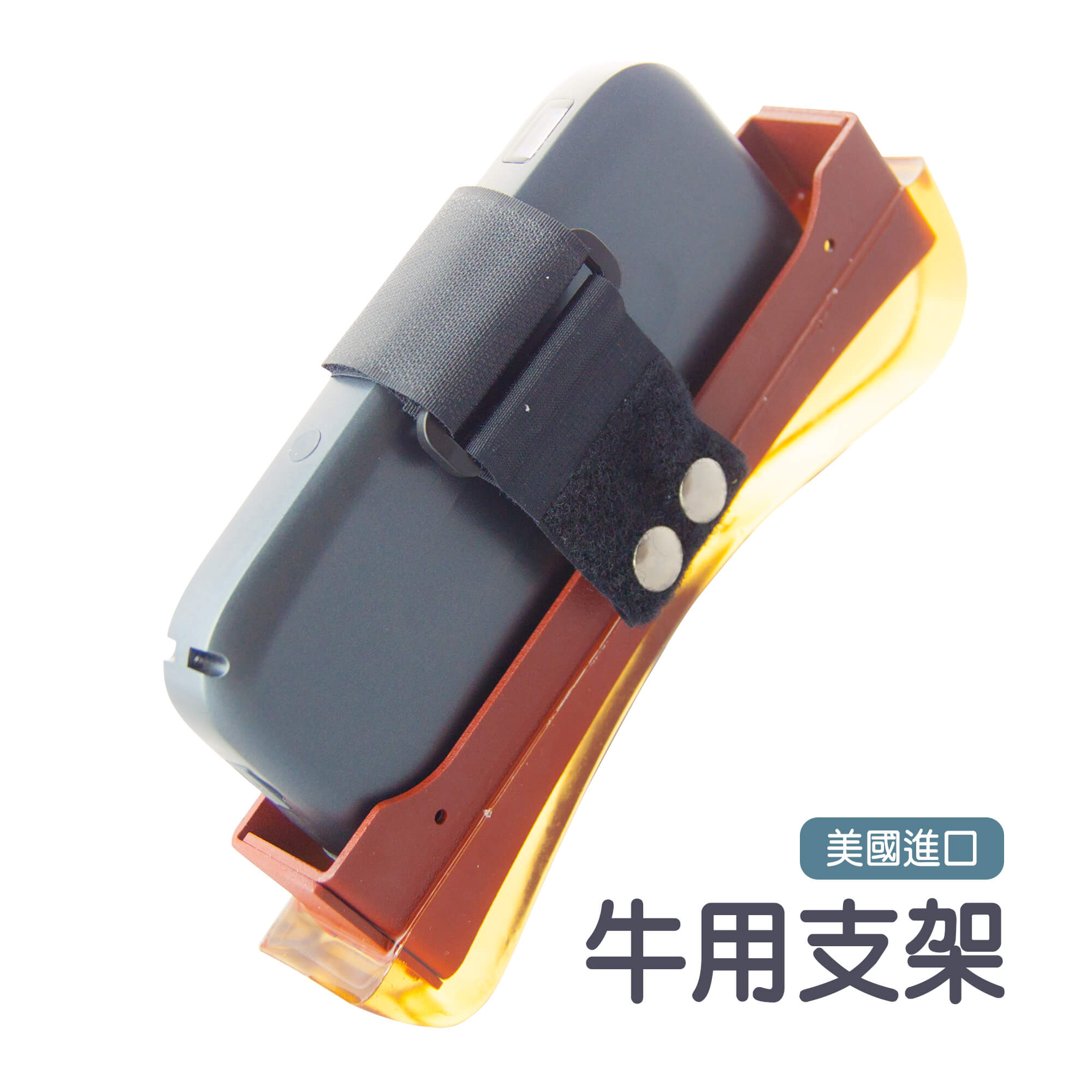 SU-3 腰眼面積超音波