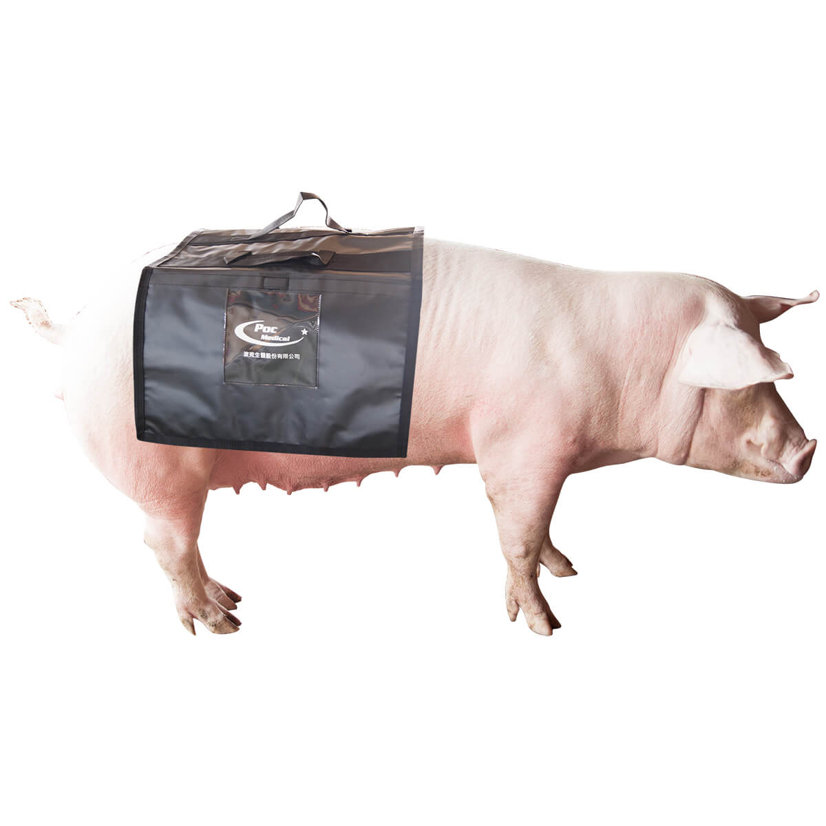 母豬配種沙袋 (4入一組) 免運